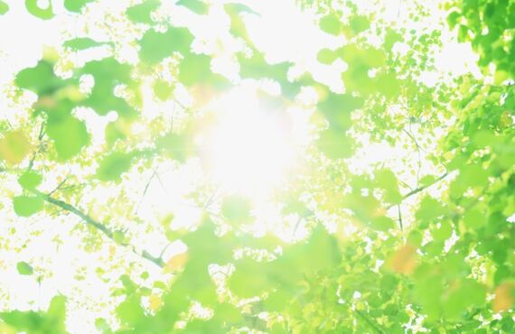 ソフトバンクiphoneの電池交換なら即日でできます！